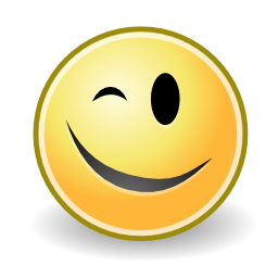 Download free eye face smiley wink icon